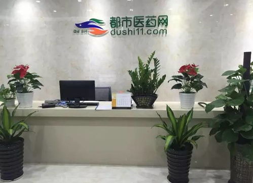 “都市医药公司在医疗器械互联网信息服务的探索与实践”,